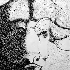 Sad Yak Ink Stippling Piece